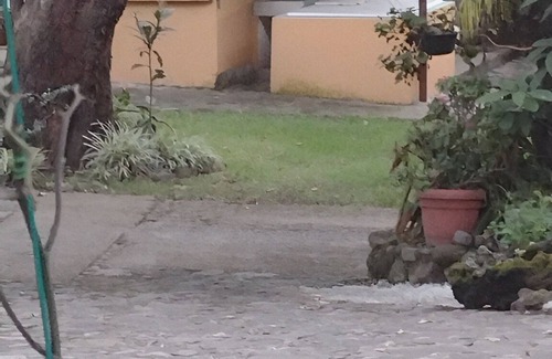 Santa Catarina Cabin | Las Casitas en Tepoz Desconéctate y Reconecta en Armonía