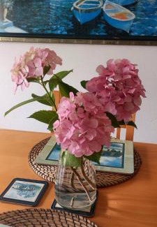 San Vicente de la Barquera House | Las Tres Mimosas