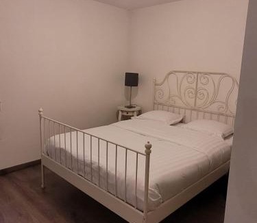 Quartier Exposition-Bajatiere Apartment | Le central grenoblois