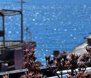 Borgo Antico Apartment | LE CINQUE VELE * Cinque Terre