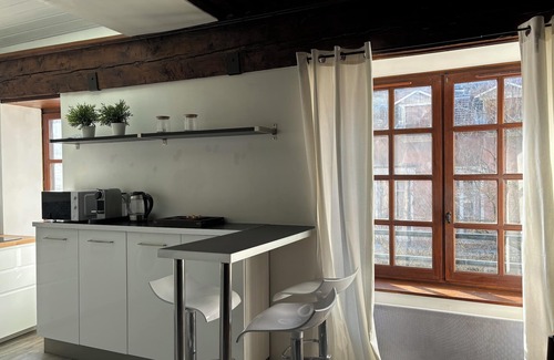 Grenoble City Centre Apartment | Le Clos Saint Jacques - Hyper Centre Grenoble.