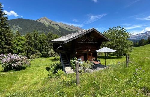 Vers L'Eglise Ski Chalet | le Farfadet