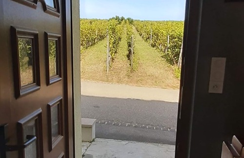 Wettolsheim House | Le gîte de "Claudi" - Ideally located on the wine route near Colmar