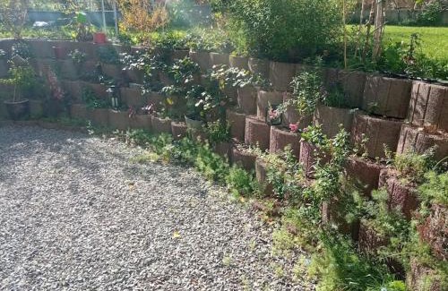 Volgelsheim Apartment | Le jardin d'Horace o Im Garten von Horaz