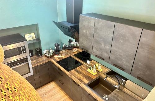 Villefranche-sur-Saone Apartment | Le Nid Tropical Proche gare
