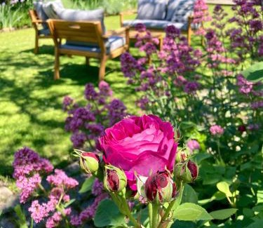 Valence-sur-Baise Bed & Breakfast | Le Petit Cochon