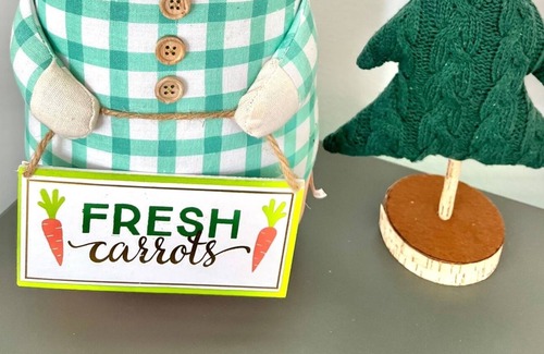 Bee Ridge House | Legacy trail fully remodeled house