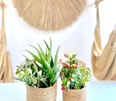 Chrissi Akti Apartment | Lemon Tree House, Golden Beach