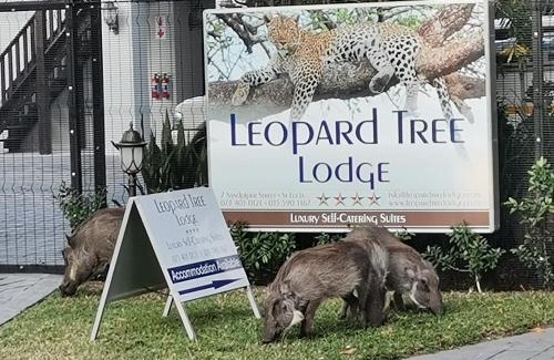 St. Lucia Cabin | Leopard Tree Lodge