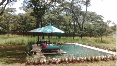 Lusaka House | Leopards Hill, Lusaka family home in beautiful nature