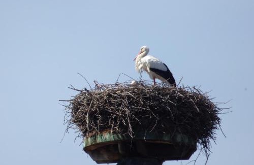 Neuve-Eglise House | Les Cerisiers