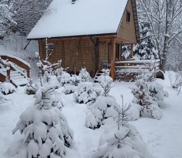Dwernik Ski Chalet | LESZCZYNOWY STOK