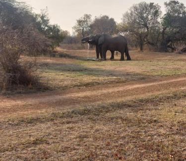 Hammanskraal Ski Chalet | Letlotse Lodge