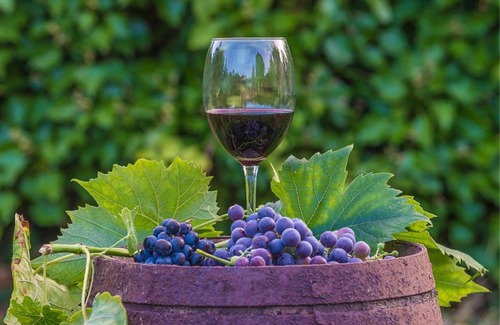 Lambrecht Apartment | LIEBLINGSPLATZ im Pfälzer Wald