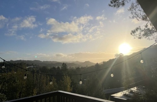 Fairfax House | Light filled, tree house, surrounded by nature. 7 minute walk from downtown.