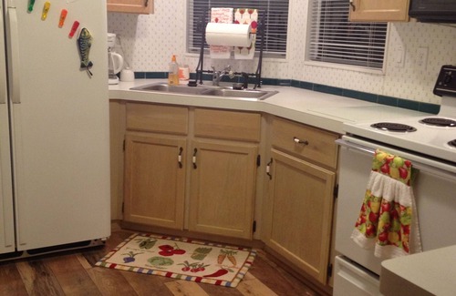 Weeki Wachee Gardens House | "Like a Tree House" Overlooking the Water