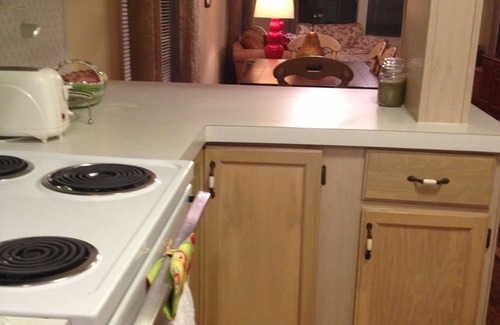 Weeki Wachee Gardens House | "Like a Tree House" Overlooking the Water