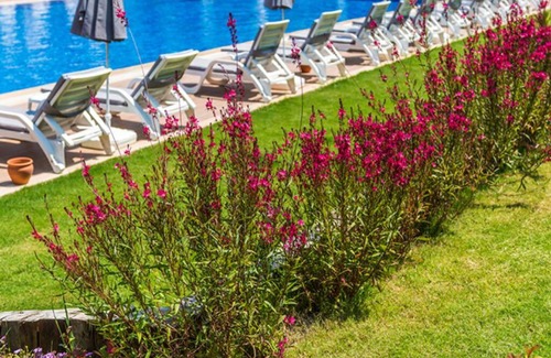 Fethiye Apartment | likya garden residence 2