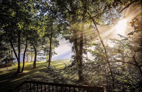 Wilburn House | Lil Shangri-La on the Little Red River -walk in river access