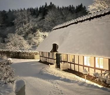 Nyborg Municipality Bed & Breakfast | Lillemøllens bed & breakfast