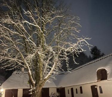 Nyborg Municipality Bed & Breakfast | Lillemøllens bed & breakfast