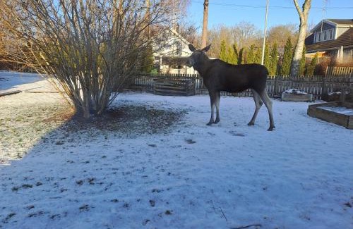 Vasterhaninge House | Lillhuset nära Stockholm
