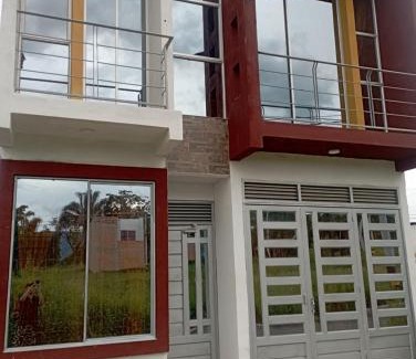 Carmen de Apicala House | Lindas palmas