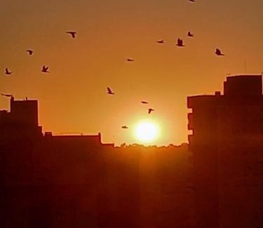 Bahia Blanca Apartment | Lindisimo depto centro Bahía