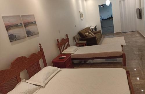 Assis Apartment | Lindo Loft no centro de Assis