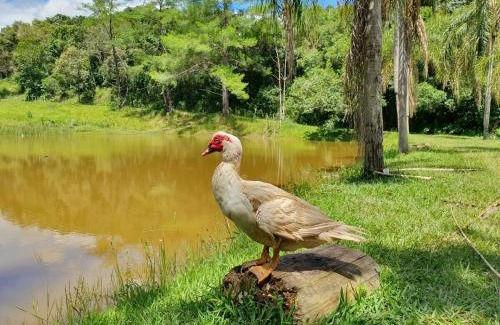 Itatiba House | Lindo sítio com pesca, trilhas, piscina, barco e muita diversão