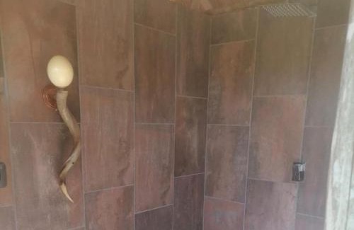 Cullinan Cabin | Lion and Cheetah Sanctuary