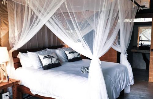 Thorny Bush Game Reserve Cabin | Little Africa Safari Lodge