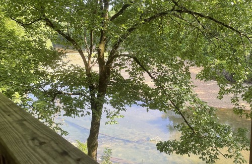 Olivehill Cabin | Little Bears Cozy Creekside Cabin at Up The Creek