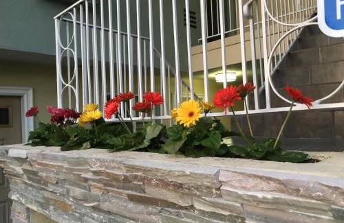 West Newport Hotel | Little Inn By The Bay Newport Beach Hotel