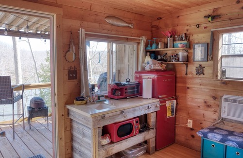 Goreville Cabin | Little Moon Tiny Lake of Egypt Lakefront Cabin