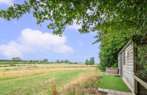 Woodbridge House | Little owl and owl