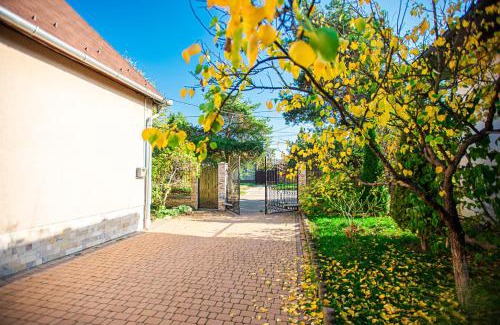 Berehove Apartment | Lizak