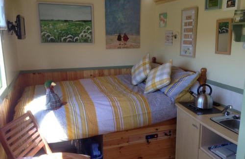 Hallington House | Lizzie off grid Shepherds Hut The Buteland Stop