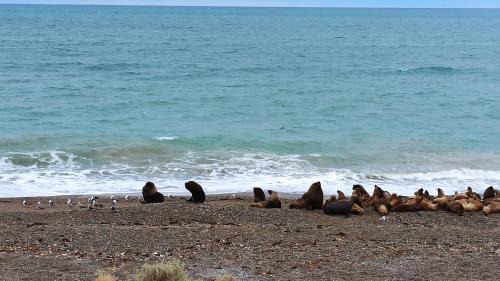 Canadon Seco Other | Lo de Simon- Cabañas