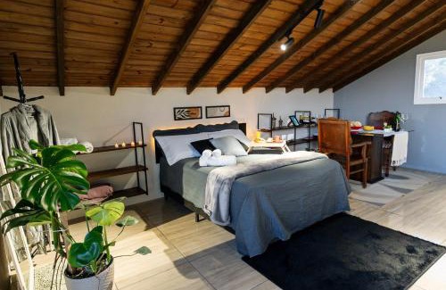 Osorio House | Loft no Morro da Borússia