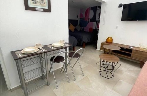 San Luis Potosi Apartment | Loft Polanco Parque 1