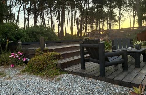 Chihuahua House | Loftdelbosque