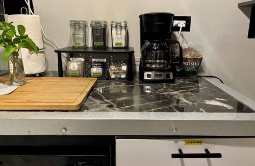 Chicago House | Lofty Garden Retreat Artist-Music Friendly 2BR in Humboldt Park