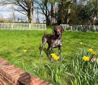 Whitbourne House | Log- burner, Hot tub with woodland views Walking trails and local pub on your doorstep! Popular walking trails nearby-Malvern Hills and the Brockhampton Estate- Peaceful village on the border of Hereford and Worcester