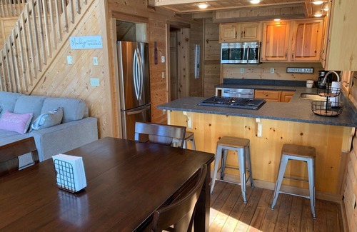 Remer Cabin | Log Cabin on Private Lakefront - Thunder Lake