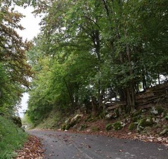 Republika Srpska House | Log Cabin Plavšić - Vikendica Plavšić