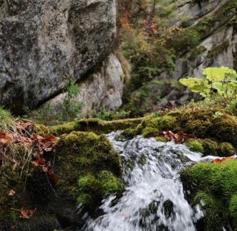 Republika Srpska House | Log Cabin Plavšić - Vikendica Plavšić