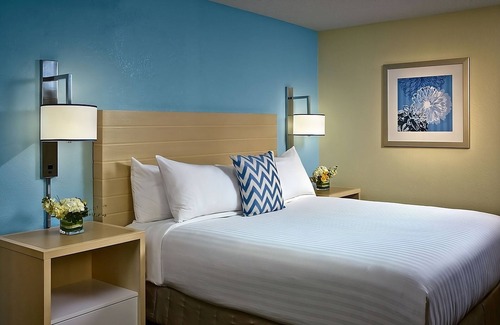 White Station Apartment | Look No More! w/ Parking, Pets Allowed Near Children's Museum of Memphis!