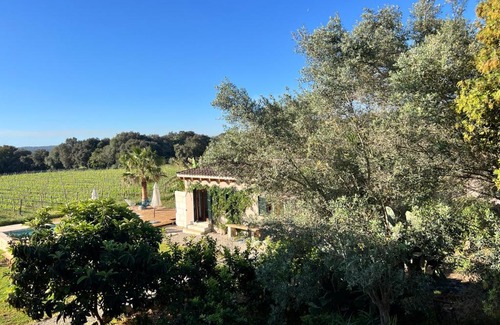 Inca Ski Chalet | Los Dos Caballeros Winery & Vacation Rental