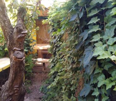 San Clemente Cabin | Los Duendes del Mar